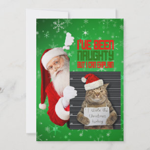 I've Been Naughty But I Can Explain Christmas Card