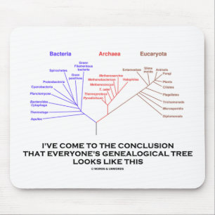 I've Come To The Conclusion Genealogical Tree Mouse Pad