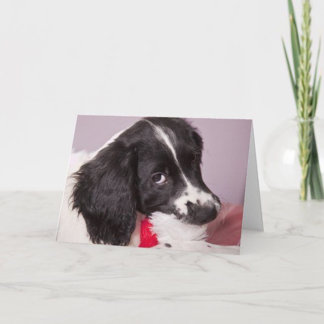 I've eaten Santa Claus Holiday Card (Front)