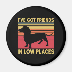 Ive got friends in low places magnet