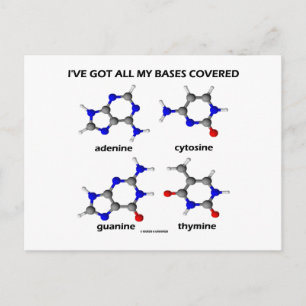 I've Got My Bases Covered (Chemistry DNA Bases) Postcard
