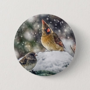 I've Got my Eye on You 6 Cm Round Badge