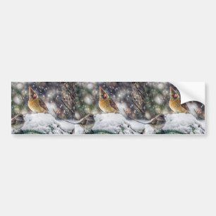I've Got my Eye on You Bumper Sticker