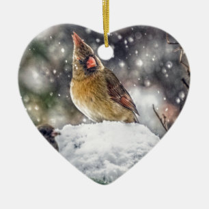 I've Got my Eye on You Ceramic Ornament