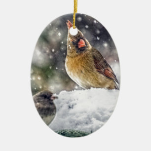 I've Got my Eye on You Ceramic Ornament