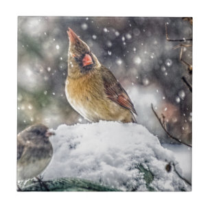 I've Got my Eye on You Ceramic Tile