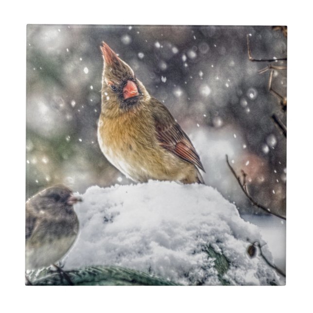 I've Got my Eye on You Ceramic Tile (Front)