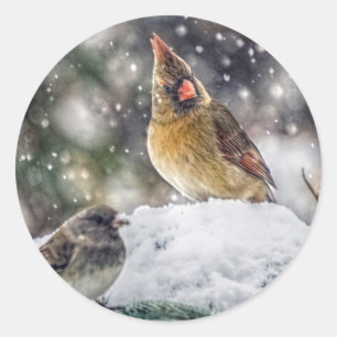 I've Got my Eye on You Classic Round Sticker