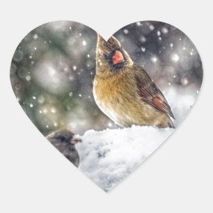 I've Got my Eye on You Heart Sticker