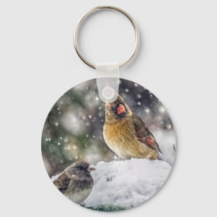 I've Got my Eye on You Key Ring