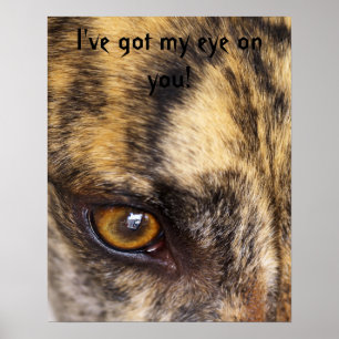 I've got my eye on you! poster