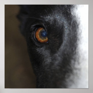 I've got my eye on you -Poster Poster