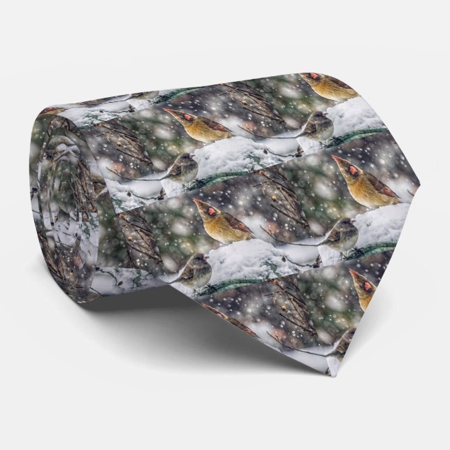 I've Got my Eye on You Tie (Rolled)