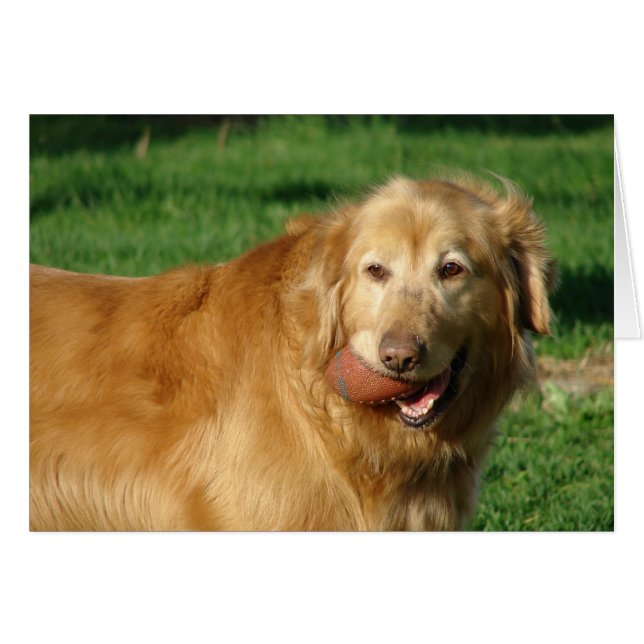 I've Got My Football (Front Horizontal)