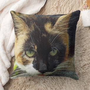"I'VE GOT MY GREEN EYES ON YOU!"/CAT HEAD-SHOT CUSHION