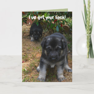 Ive got your back! German Shepherd Puppy Greeting Card