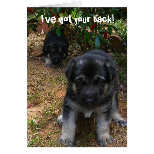Ive got your back! German Shepherd Puppy Greeting Card