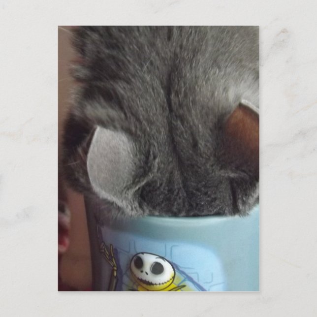 I'VE HAD MY COFFEE!! POSTCARD (Front)