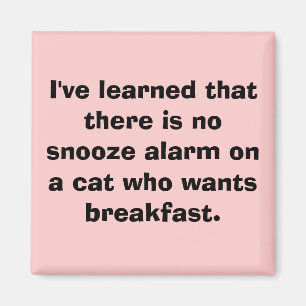 I've learned that there is no snooze alarm on a... magnet