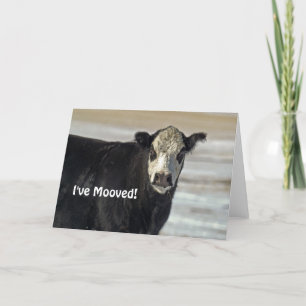 I've Mooved! Greeting Card