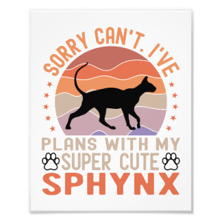 I've plans with my Sphynx cat Photo Print
