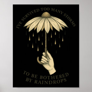 Ive Survived Too Many Storms To Be Bothered By Rai Poster