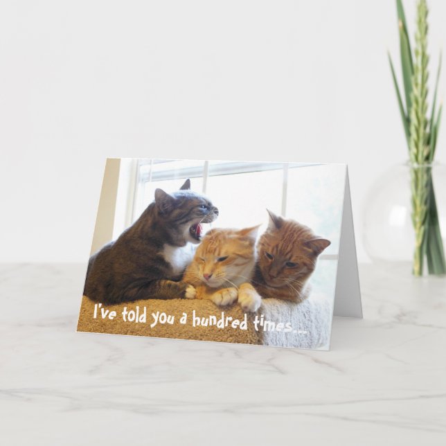 I've told you a hundred times... card (Front)