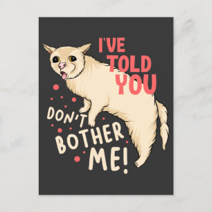 I've Told You Don't Brother Me ! Postcard