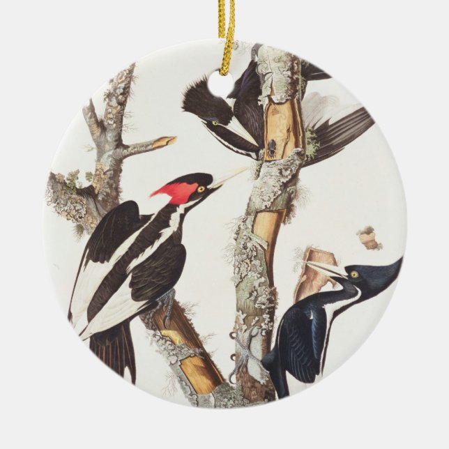 Ivory-billed Woodpecker, 1829, (print) Ceramic Ornament (Front)