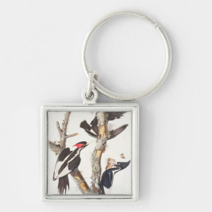Ivory-billed Woodpecker, 1829, (print) Key Ring