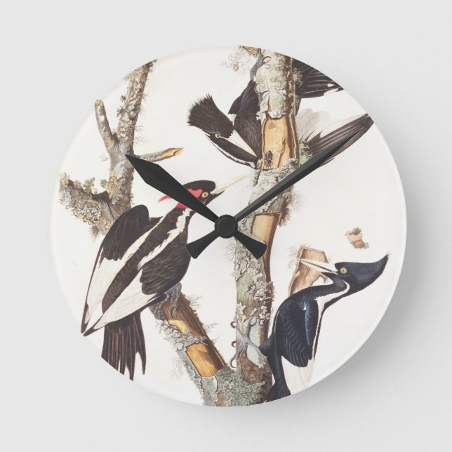 Ivory-billed Woodpecker, 1829, (print) Round Clock (Front)