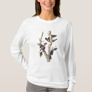 Ivory-billed Woodpecker, 1829, (print) T-Shirt