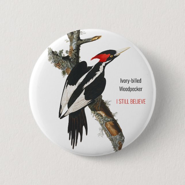 Ivory-billed Woodpecker, Audubon, I Still Believe, 6 Cm Round Badge (Front)