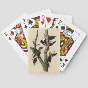 Ivory-billed Woodpecker Audubon's Birds of America Playing Cards