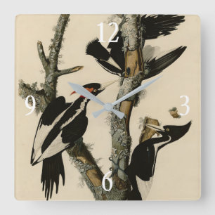 Ivory-billed Woodpecker Audubon's Birds of America Square Wall Clock