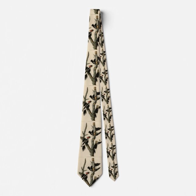 Ivory-billed Woodpecker Audubon's Birds of America Tie (Front)