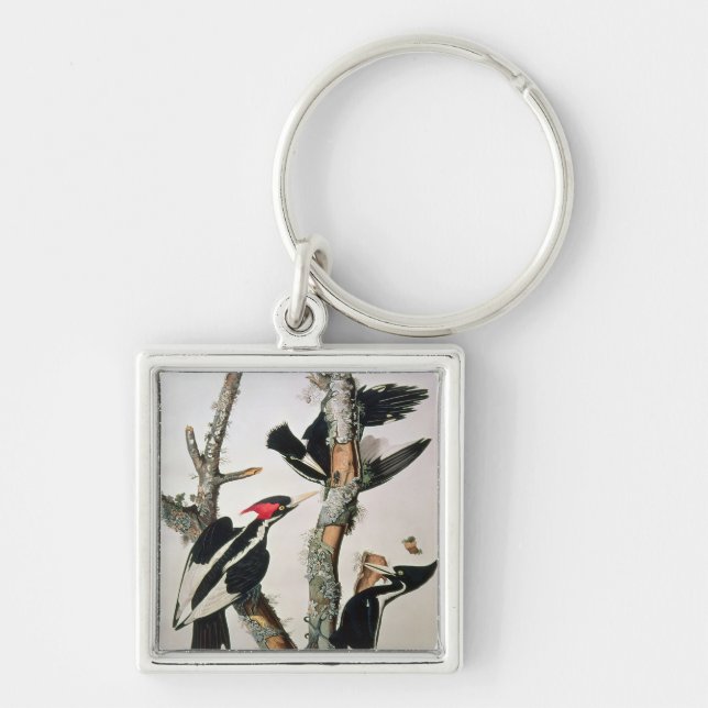Ivory-billed Woodpecker, from 'Birds of America' Key Ring (Front)
