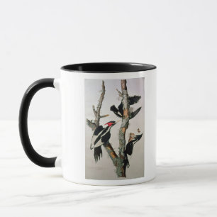 Ivory-billed Woodpecker, from 'Birds of America' Mug