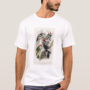 Ivory Billed Woodpecker, Green Woodpecker, Birds T-Shirt