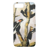 Ivory-billed Woodpeckers (Joseph Bartholomew Kidd)