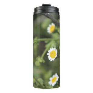 Ivory Desert Rock Daisy Wildflowers Coachella Ther Thermal Tumbler
