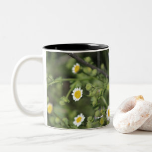 Ivory Desert Rock Daisy Wildflowers Coachella Two- Two-Tone Coffee Mug
