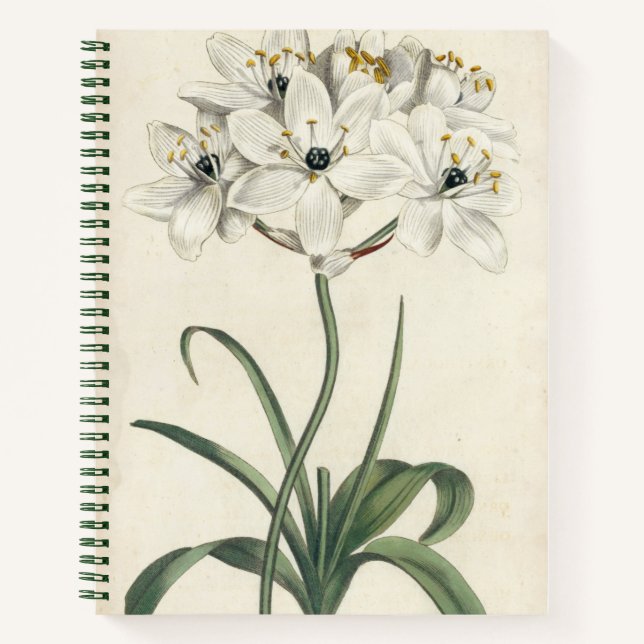 Ivory Garden Notebook (Front)