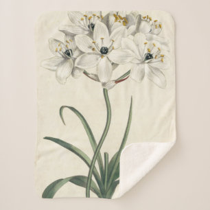 Ivory Garden Sherpa Blanket