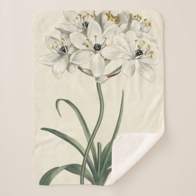 Ivory Garden Sherpa Blanket (Front)