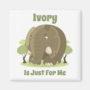Ivory is Just For Me Magnet