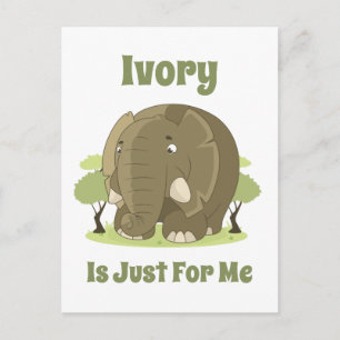 Ivory is Just For Me Postcard