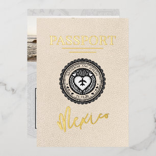 Ivory Mexico Passport Wedding