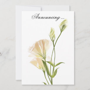 Ivory MoonFlower Wedding Annoucement Invitation