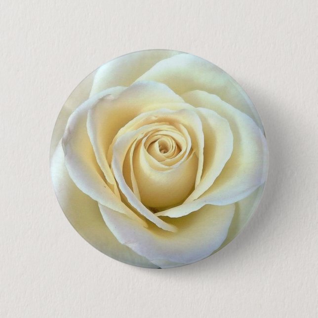 Ivory Rose 6 Cm Round Badge (Front)